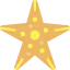 Starfish icon 64x64