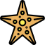 Starfish icon 64x64