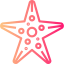 Starfish icon 64x64