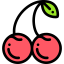 Cherry icon 64x64