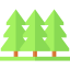 Forest icon 64x64