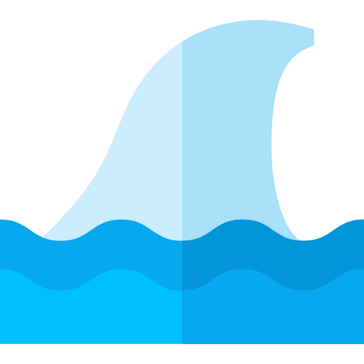 Shark icon