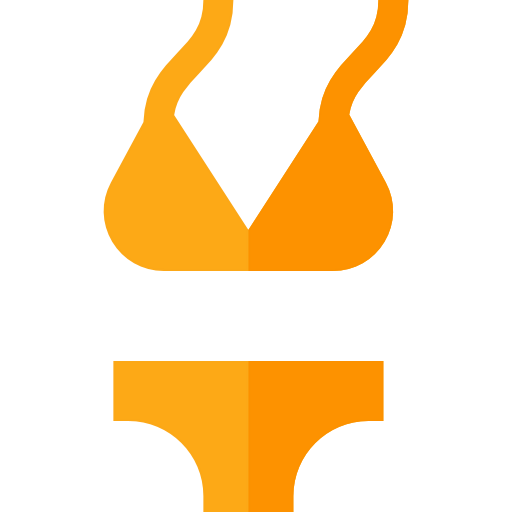 Bikini icon