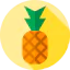 Pineapple biểu tượng 64x64