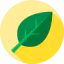 Leaf biểu tượng 64x64