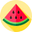 Watermelon biểu tượng 64x64