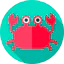 Crab biểu tượng 64x64