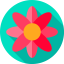 Flower biểu tượng 64x64