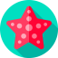 Starfish biểu tượng 64x64