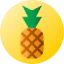Pineapple icon 64x64