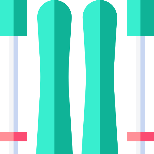 Ski icon