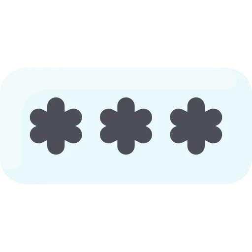 Password icon