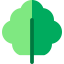 Lettuce icon 64x64