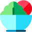 Salad icon 64x64