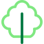 Lettuce icon 64x64