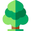 Tree Ikona 64x64
