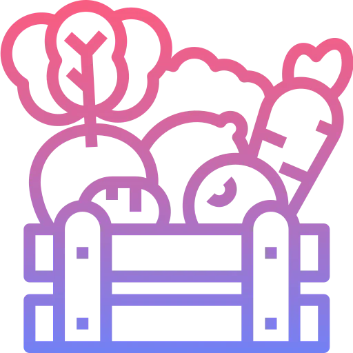 Vegetables icon