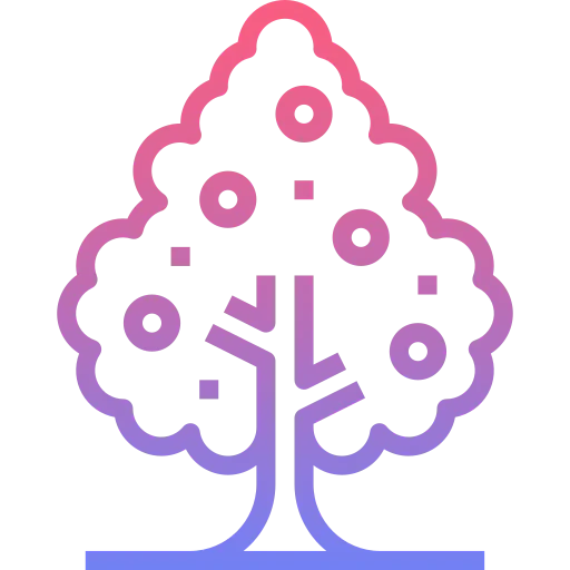 Orange tree icon