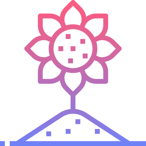 Sunflower icon