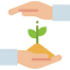 Sprout icon 64x64