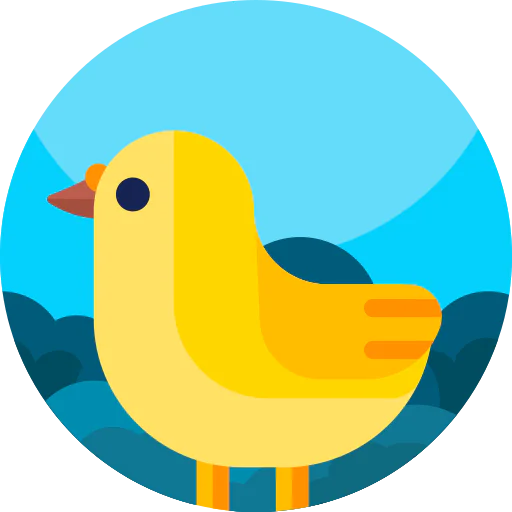 Chick icon