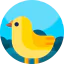 Chick icon 64x64
