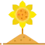 Sunflower icon 64x64