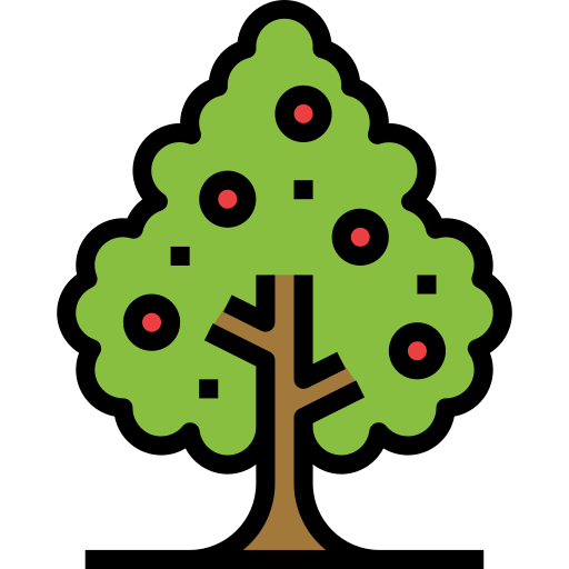Orange tree icon