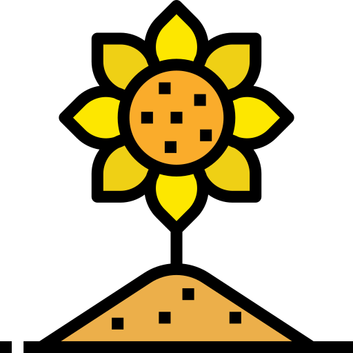 Sunflower icon