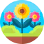 Spring icon 64x64