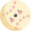 Baseball ball Ikona 64x64