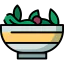 Salad icon 64x64