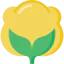 Cotton icon 64x64
