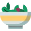 Salad icon 64x64