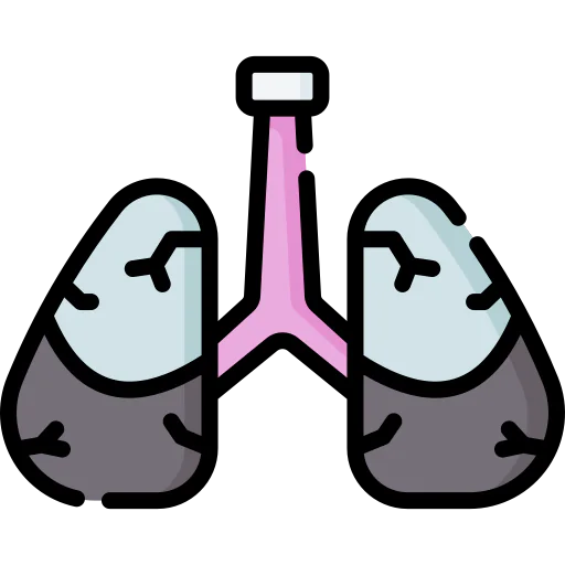 Lungs icon
