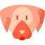 Dog icon 64x64
