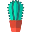 Cactus icon 64x64