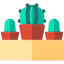Cactus icon 64x64