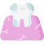 Caries 图标 64x64
