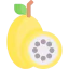 Maracuya icon 64x64