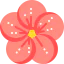 Flower icon 64x64