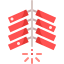 Firecracker icon 64x64