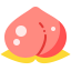 Plum icon 64x64
