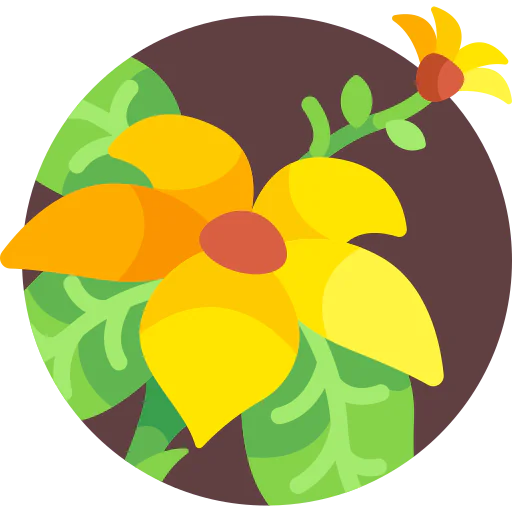 Flower icon