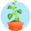 Plant icon 64x64