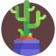 Cactus icon 64x64