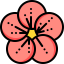 Flower icon 64x64