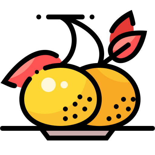 Orange icon