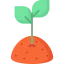 Sprout icon 64x64