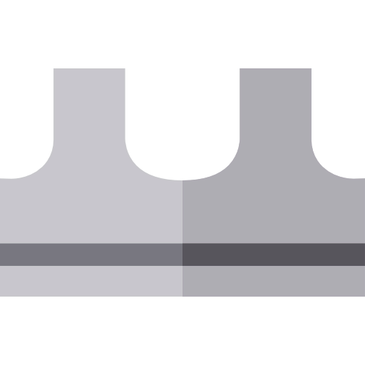 Bra icon